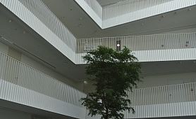 atrium_amras